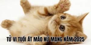Tử Vi Tuổi Ất Mão Nữ Mạng Năm 2025